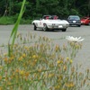 スプレンドーレ伊香保2012　シボレー・コルベットスティングレイ