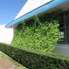 ブリヂストン 那須工場