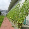 ブリヂストン 栃木工場
