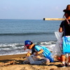 早朝から金石海岸を掃除するアクアソーシャルフェス参加者たち