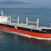 5万6000載貨重量トン型のばら積み貨物船（参考画像）