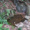 杭州　日本茶の原点を見に行く　（7）　杭州　径山寺と茶