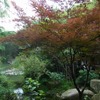 杭州　日本茶の原点を見に行く　（7）　杭州　径山寺と茶