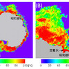 しずくが観測した海氷密接度画像