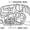 新型 ヴィッツ から、トヨタは衝突安全性能を強化