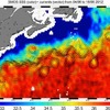 の海洋データ（動画キャプチャ）