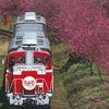 臨時列車「花桃号」のイメージ