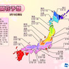 桜開花予想図