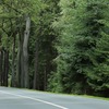 クルマと出かける少し贅沢な旅（イメージ）