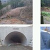 国道120号椎坂バイパス
