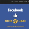 Facebook、バンガロールの会社リトル・アイ・ラブズを買収