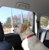 アウトランダーPHEVと愛犬の旅…雪景色の富士河口湖リゾートを満喫