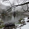 雪の東京（日比谷公園、2月14日昼）