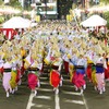 越谷市の南越谷阿波踊りは、徳島の阿波踊りにちなんで1985年から開催されている。写真は2013年の南越谷阿波踊りの様子。