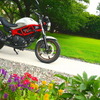 ホンダ VTR Type LD