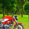 ホンダ VTR Type LD