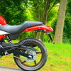 ホンダ VTR Type LD