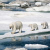 クリスタル・クルーズ、大自然を満喫する北極圏クルーズを実施へ