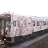 2013年から運転を開始した「花咲くいろは」2代目ラッピング車。8月から運転を開始する3代目ラッピング車は「花咲くいろは」を含むアニメ3作品によるコラボラッピング車となる。