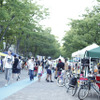 PEDAL DAYS of SUMMER 2014