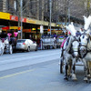 フリンダースストリート駅前、Swanston Stで出会った観光馬車。30分乗って料金は日本円で1万円ほど。