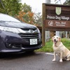 ホンダ オデッセイで愛犬マリアと晩秋の軽井沢へ