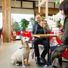 DOG DEPT＋CAFE 軽井沢プリンス店