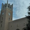 早稲田大学