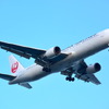 JAL（イメージ）