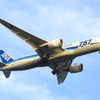 全日本空輸（イメージ）