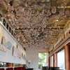 桜で装飾されたスターバックスコーヒー「上野恩賜公園店」店内の様子