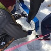 雪合戦