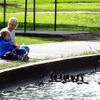 サーキットを外れて湖のほとりに立つ。水鳥に餌をあげる親子に出会った