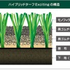 ロングパイル人工芝「ハイブリッドターフ・エキサイティング」