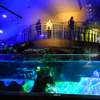 すみだ水族館に登場した、光と音楽とペンギンの新展示「ペンギンキャンディ」（3月21日～7月17日）。3月19日のオープニングイベントには動物好きな森泉も登場。ペンギンを抱き「連れて帰りたい！」と笑った