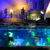 すみだ水族館に登場した、光と音楽とペンギンの新展示「ペンギンキャンディ」（3月21日～7月17日）。3月19日のオープニングイベントには動物好きな森泉も登場。ペンギンを抱き「連れて帰りたい！」と笑った
