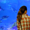 すみだ水族館に登場した、光と音楽とペンギンの新展示「ペンギンキャンディ」（3月21日～7月17日）。3月19日のオープニングイベントには動物好きな森泉も登場。ペンギンを抱き「連れて帰りたい！」と笑った