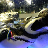 すみだ水族館に登場した、光と音楽とペンギンの新展示「ペンギンキャンディ」（3月21日～7月17日）。3月19日のオープニングイベントには動物好きな森泉も登場。ペンギンを抱き「連れて帰りたい！」と笑った