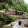 赤沢自然休養林を走る赤沢森林鉄道の列車。クラブツーリズムが6月に実施するツアーで乗車する。