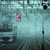 雨のなかを走る東京圏の電車たち