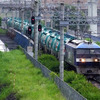 雨のなかを走る東京圏の電車たち