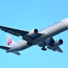 JAL（イメージ）