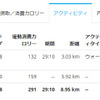 ランやバイクなどのアクティビティは別途記録される。現在のGARMINコネクトでは、アクティビティ名に自動的に地名が入る。