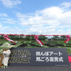 『スター・ウォーズ／フォースの覚醒』田んぼアート見ごろ宣言式