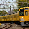 「黄色い電車」は西武鉄道のイメージとして定着している。写真は2000系。