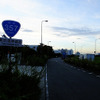 国道357号東京湾岸道路が通っている京浜島
