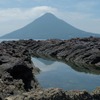 東京から鹿児島へ、LCCと格安レンタカーでダイナミックに旅してみた