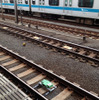 小田急は全線で新型の自動列車停止装置、D-ATS-Pの設置が完了したと発表。9月12日から全線で運用を開始した。写真は駅に設置されたD-ATS-Pの緑色の地上子