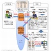 トライアルの実施イメージ