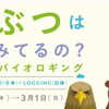 どうぶつは、なにをみてるの？～目線映像とバイオロギング～